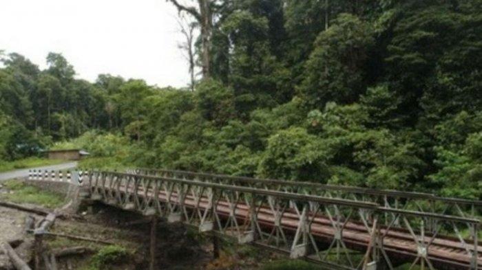 Jembatan di Papua (Foto:tribun)