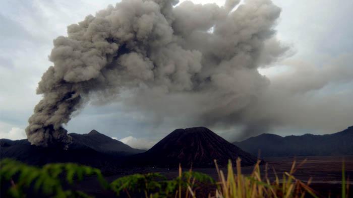 Gunung Bromo erupsi / Foto: tribunnews.com