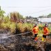 Tim Damkar BPBD Kota Sukabumi berupaya memadamkan api yang membakar semak ilalang kering. Foto: Riri