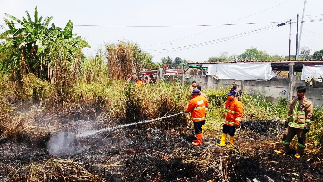 Tim Damkar BPBD Kota Sukabumi berupaya memadamkan api yang membakar semak ilalang kering. Foto: Riri