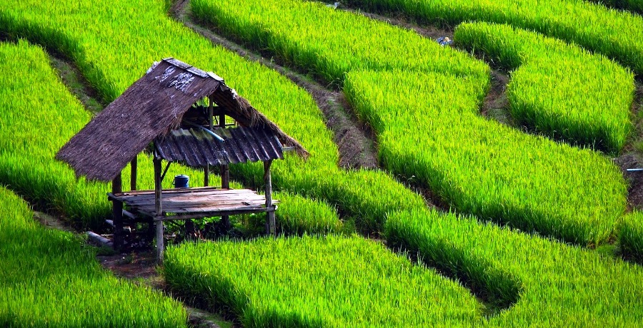 ILUSTRASI. Foto: explorejabar.blogspot.com
