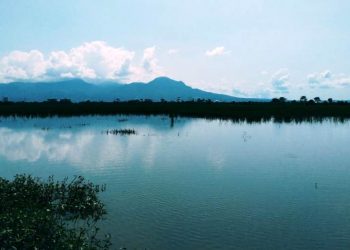 Kolam yang masih tersisa di wilayah Kecamatan Bijingsoang, Kabupaten Bandung. Foto: dara.co.id/Ayi
