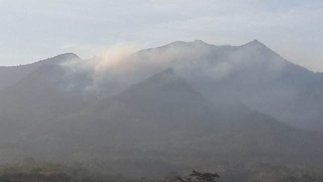 Asap mengepul di kawasan hutan Gunung Puntang (Foto: galamedianews.com)