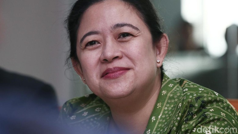 Puan Maharani (Foto: detikcom)