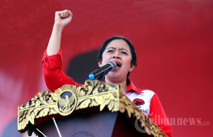Puan Maharani (Foto: tribunnews)
