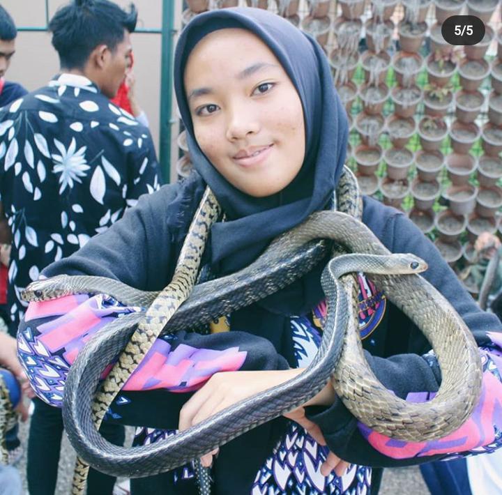 Upit Sarimanah dan ular pemliharaannya (Foto: dela/dinda)