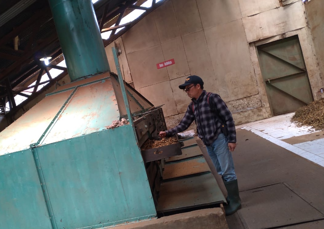 Produksi tanaman Kina di kawasan Perkebunan Bukit Tunggul, Desa Cipanjalu, Cilengkrang, Kabupaten Bandung, Jawa Barat, terus alami penurunan. (Foto: Muhammad Zein/dara.co.id)