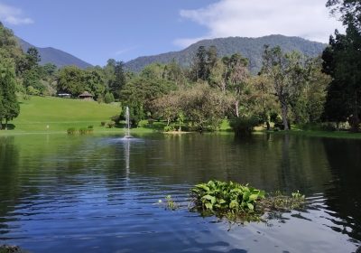 Obyek wisata Kebun Raya Cibodas, Kabupaten Cianjur, Jawa Barat. (Foto: Angga Purwanda/dara.co.id)