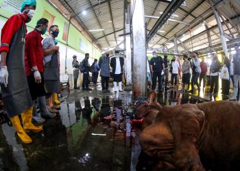 Wali Kota Bandung, Oded M. Danial saat meninjau penyembelihan hewan kurban di Rumah Potong Hewan (RPH) Ciroyom, Kota Bandung, Jawa Barat, Jumat (31/7/2020). (Foto: Avila Dwi Putra/dara.co.id)
