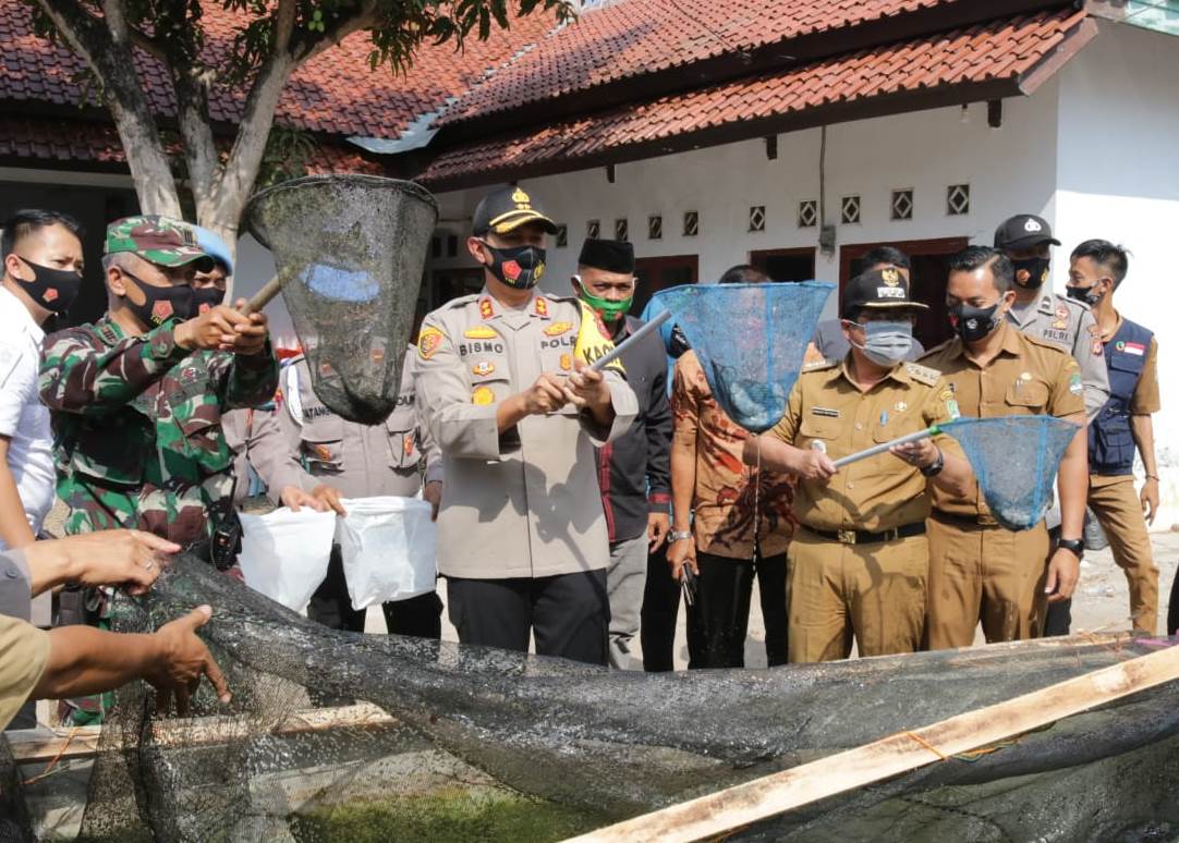 AKBP Bimo Teguh Prakoso. saat panen ikan lele di Desa/Kecamatan Palasah, Kabupaten Majalengka, Jawa Barat, Selasa (1/9/2020). (Foto: Yohanes Charles/dara.co.id)