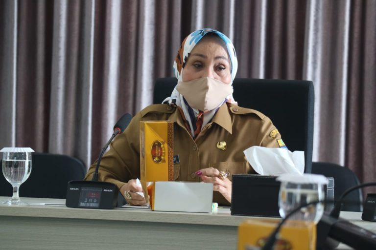  Wakil Wali Kota Cirebon Eti Herawati