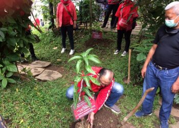 Ketua DPC PDI Perjuangan Achmad Nugraha (duduk) dan Wakil Wali Kota Bandung periode 2008-2013 Ayi Vivananda, melakukan penanaman pohon di Teras Cikapundung, Minggu (31/1/2021). (Foto: Avila/dara.co.id)