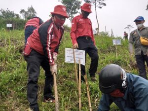 Hari Jadi PDI Perjuangan, DPC Kabupaten Bandung Gelar Penanaman Pohon