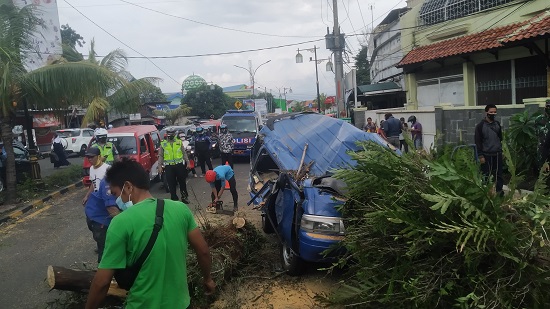 Dua mobil tertimpa pohon (Foto: Purwanda/dara.co.id)