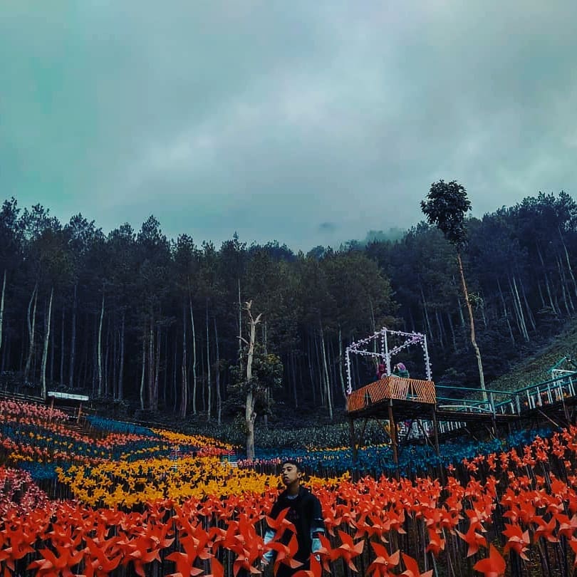 Taman Zandea (Foto: Instagram @Taman Zandea)