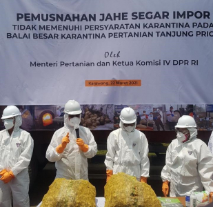 foto: pertanian.go.id