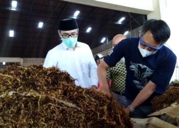 Bupati HM Al Khadziq meninjau jual beli tembakau di gudang milik PT Gudang Garam di
wilayah Kecamatan Bulu, Kabupaten Temanggung (Foto: Istimewa)