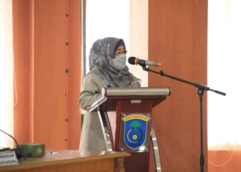 Hj. Nursula, S.Sos, Kepala Dinas Pemberdayaan Masyarakat dan Desa Kabupaten OKI (Foto: Istimewa)