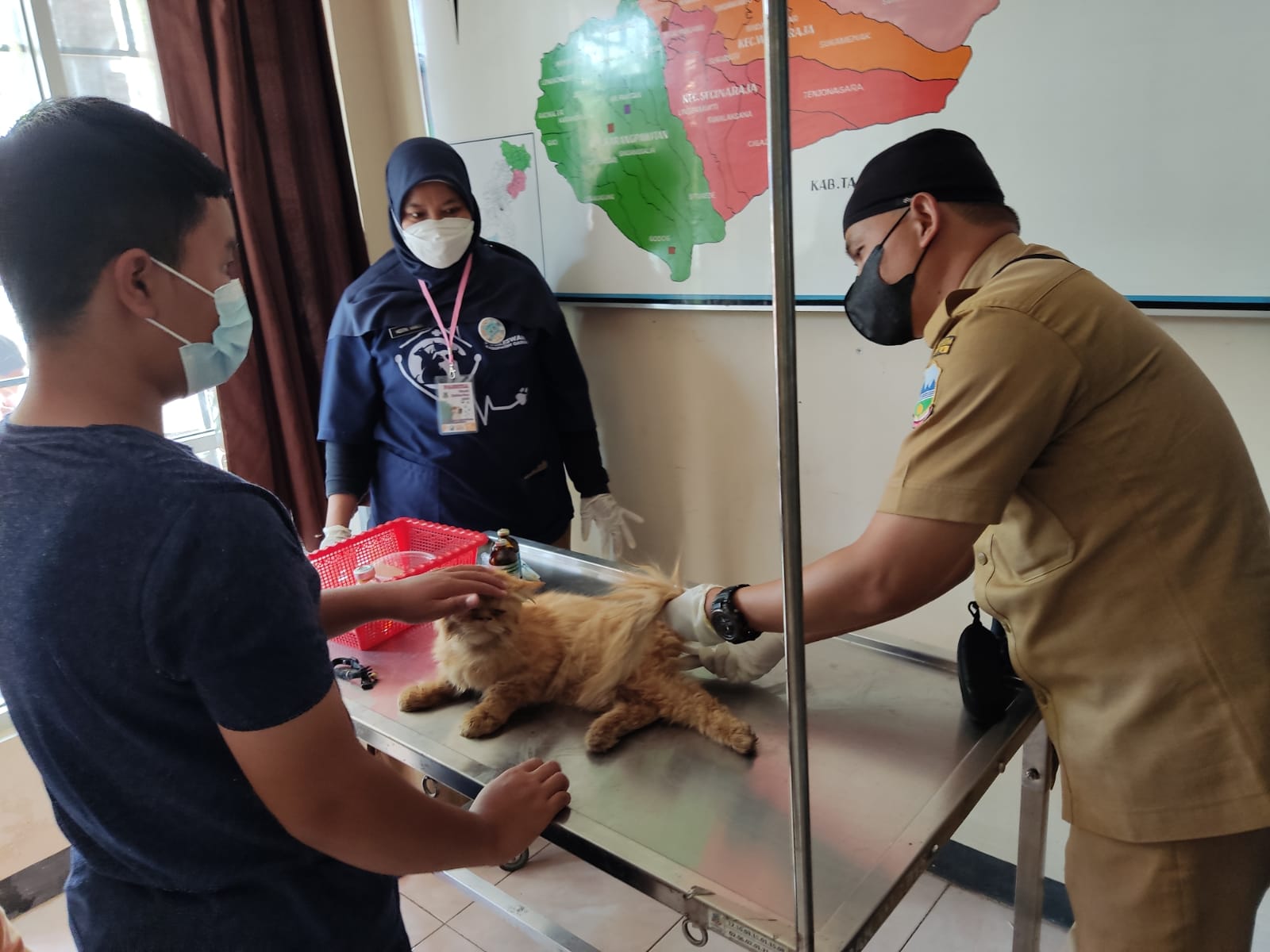 
Pelaksanaan kegiatan sosialisasi dan vaksinasi rabies dalam rangka peringatan Hari Rabies Sedunia yang dilakukan oleh Diskanak Garut di Alun-Alun Limbangan, Kabupaten Garut, Rabu (29/9/2021).(Foto: andre/dara.co.id)
