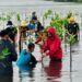 Presiden Joko Widodo melakukan penanaman mangrove bersama masyarakat di Pantai Setokok, Batam, Kepri, Selasa (28/09/2021). (Foto: BPMI Setpres/Laily Rachev)