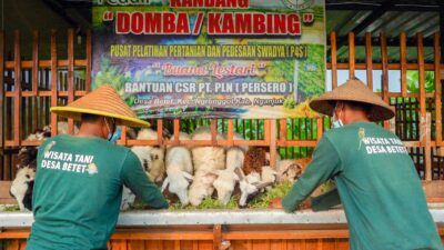 Foto: Istimewa