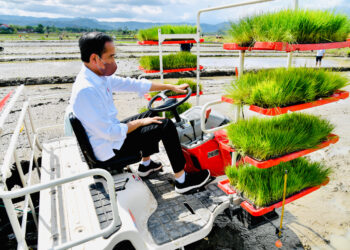 Presiden Jokowi mengendarai mesin tanam padi, di Trenggalek, Jatim, Selasa (30/11/2021) siang. (Foto: BPMI Setpres/Laily Rachev)