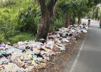 Sampah yang menumpuk di jalan Brigjen Wasita Kusumah, Kecamatan Indihiang, Kota Tasikmalaya. (Foto : Nanang Yudi/dara.co.id)