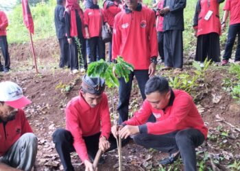 Ketua DPC PDIP Kota Banjar Nana Suryana, beserta pengurus saat kegiatan penanaman ratusan pohon, Minggu (23/1/2022). (Foto:Istimewa)