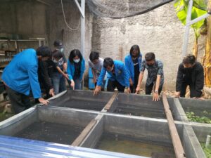 PMkM Universitas Pamulang: Pengembangan Kewirausahaan Ikan Cupang Hias