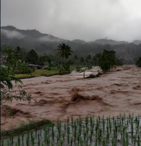 Diguyur Hujan Lebat, Sungai Cibareno Meluap, Puluhan Rumah Terendam Banjir