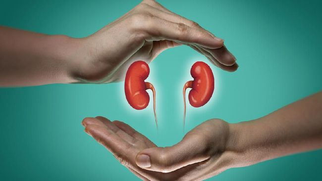 Ilustrasi (Foto: iStockphoto/SvetaZi)

