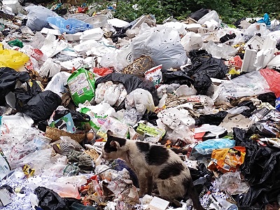 Sampah berserakan di dekat gedung full kendaraan Komplek Perkantoran KBB (Foto: Istimewa)