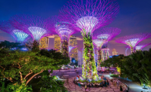 Jelang Tahun Baru, Inilah Lima Pengalaman Baru di Singapura untuk Liburan Keluarga Anda
