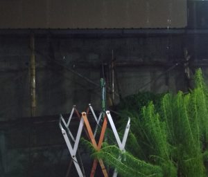 Sahur Pertama Bandung Selatan Diguyur Hujan Lebat Disertai Petir