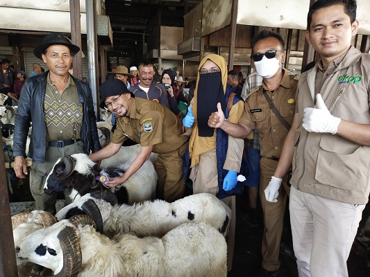 
Petugas dari DPKP Jabar dan Dispernakan KBB saat melakukan pemeriksaan hewan kurban di Pasar Hewan Tagog Padalarang, Selasa (27/6/2023).(Foto: heny/dara)
