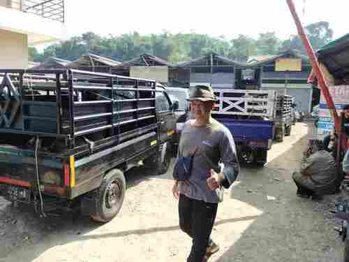 Nanang, penanggung jawab Pasar Domba Tagog Padalarang (Foto: Ist)