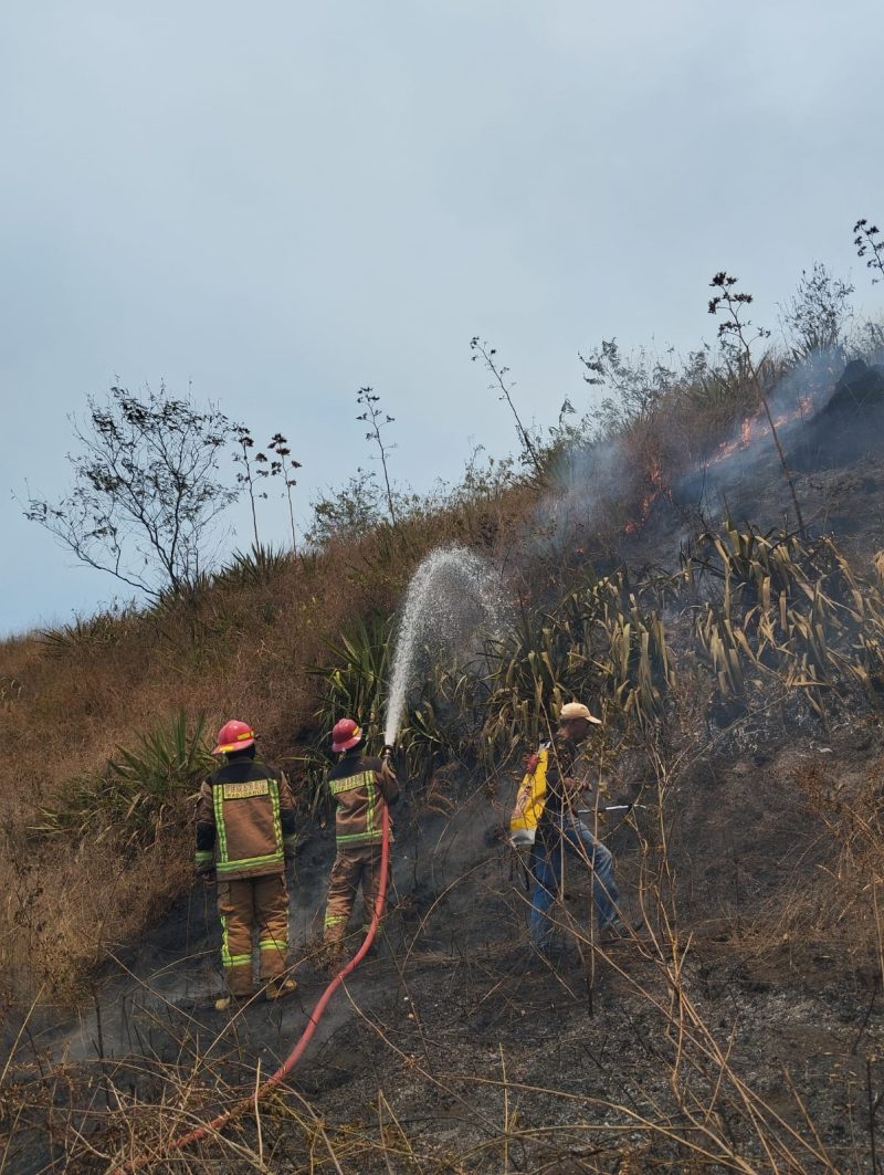 
Petugas berupaya memadamkan api yang membakar lahan kering di kaki Gunung Guntur, Kesamatan Tarogong Kaler, Kabupaten Garut, Kamis (7/9/2023).(Foto: andre/dara)
