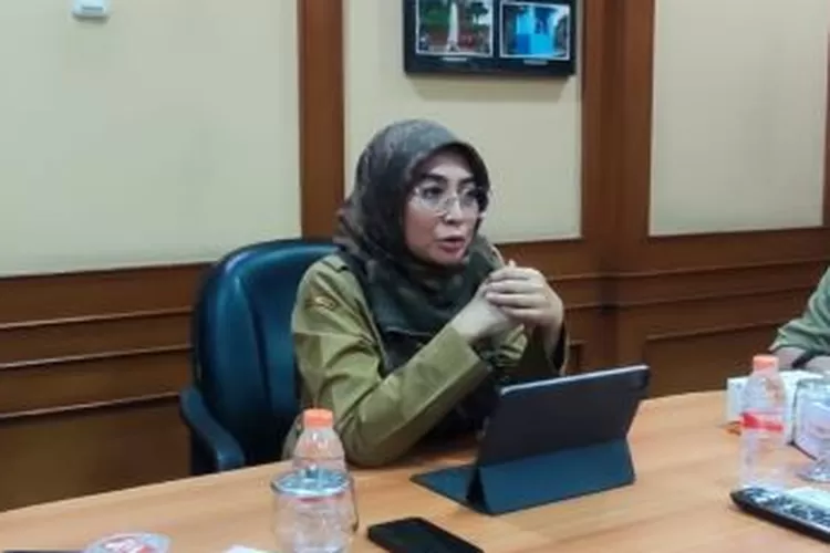 

Kepala Dinas ESDM Provinsi Jawa Barat, Ai Saadiyah Dwidaningsih. (Foto: jabarprov)