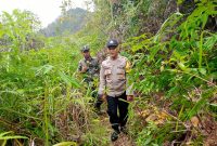 Petugas gabungan saat melakukan pencarian korban hilang di kawasan TWA talaga Bodas beberapa waktu lalu (Foto: Istimewa)