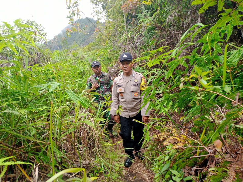 Petugas gabungan saat melakukan pencarian korban hilang di kawasan TWA talaga Bodas beberapa waktu lalu (Foto: Istimewa)