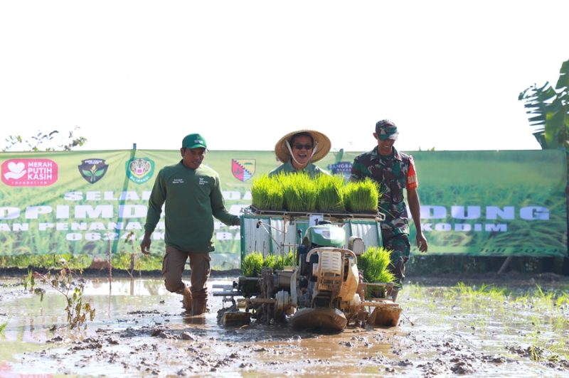
Bupati Bandung, Dadang Supriatna mengangkut benih padi (Foto: dok/dara)
