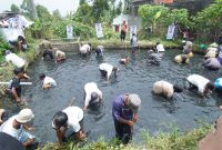 
Calon Bupati Garut Abdusy Syakur Amin, berbaur dengan masyarakat berburu ikan di Kampung Pakuwon, Desa Cisurupan, Kecamatan Cisurupan, Kabupaten Garut, Senin (21/10/2024) siang.(Foto: andre/dara)
