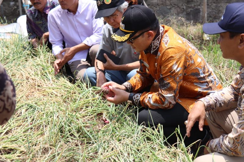 Foto: Istimewa