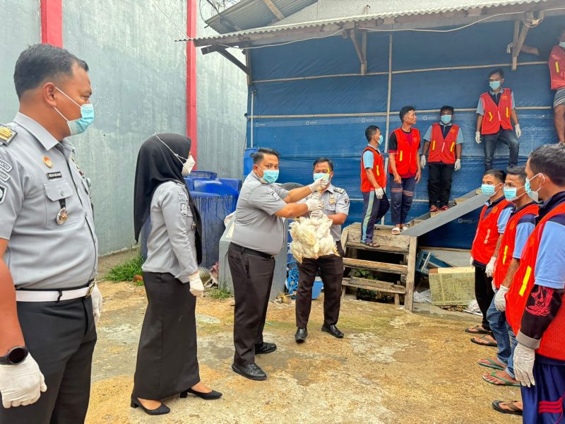 Lapas Kelas II A Garut kembali melakukan panen ayam pedaging sebanyak 11.277 ekor dengan total berat 18 Ton, Selasa (5/11/2024)(Foto: Istimewa)
