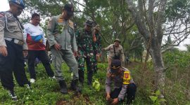 Polsek Cikelet bersama unsur Forkopimcam melakukan penanaman pohon di kawasan Pantai Gunung Geder Desa Cijambe, Kecamatan Cikelet, Kabupaten Garut, Jumat (15/11/2024)(Foto: Ist)