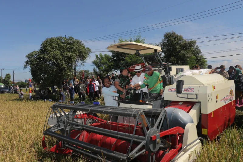 
Bupati Bandung Dadang Supriatna menghadiri panen raya padi di Desa Sumbersari, Kecamatan Ciparay.(Foto: maji/dara)


