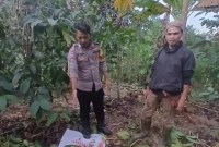 R (27), warga Desa Sukakarya, Kecamatan Banyuresmi berhasil diamankan polisi dan warga saat melakukan pencurian kopi di Blok Panyeuseupan, Desa Ciburial, Kecamatan Leles, Kabupaten Garut, Minggu sore (15/6/2025)(Foto: Istimewa)