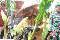 Foto: Istimewa
