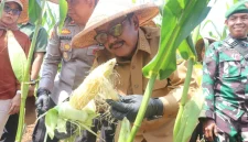 Foto: Istimewa