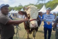 Si Damkar Juara 1 (Foto: Istimewa)